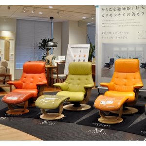 カリモク ザファースト
